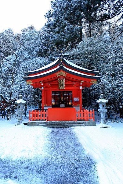 Моменты, запечатлённые на фото и просто позитив 5
