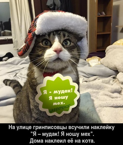 Деградировать подано
