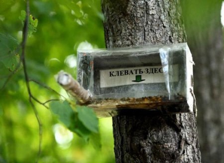 Смешные и не очень картинки из этих ваших интернетов