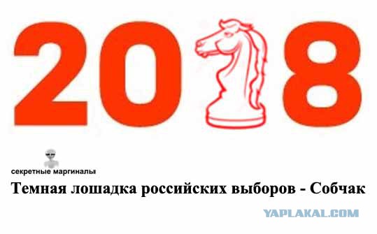 Логотип будущих выборов