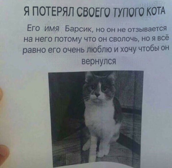 Нестандартный юмор