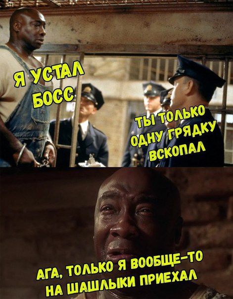 Подборка картинок. Забавных, прикольных - разных!