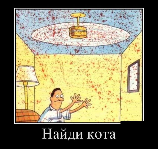 Найдите кота.