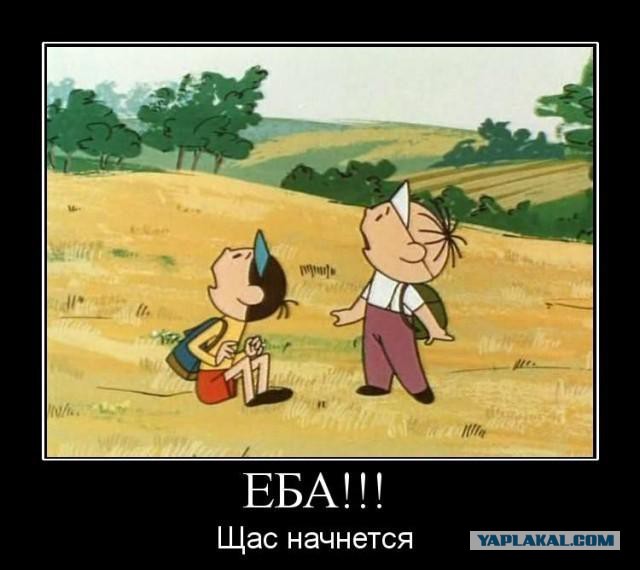 Путин не виновен