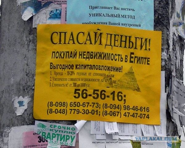 Объявления