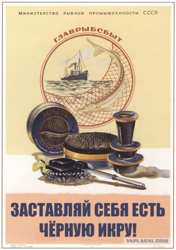 У пациента одной из инфекционных больниц Москвы предварительно обнаружен коронавирус
