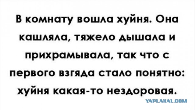Картинки атавсюду. Часть 4 от 25 февраля 2020