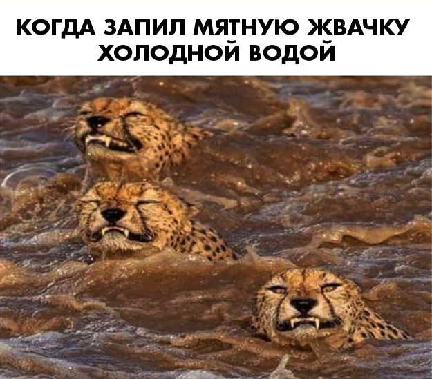 Немного картинок для настроения 26.02.20