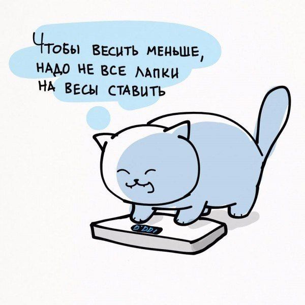 Так себе картинки 8