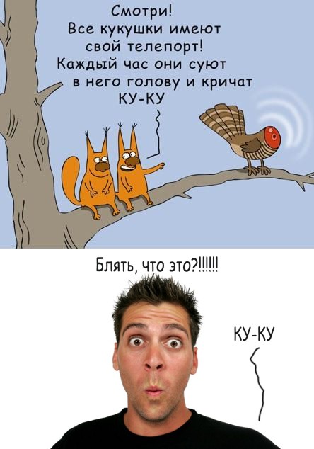 Фотожаба: Телепорт