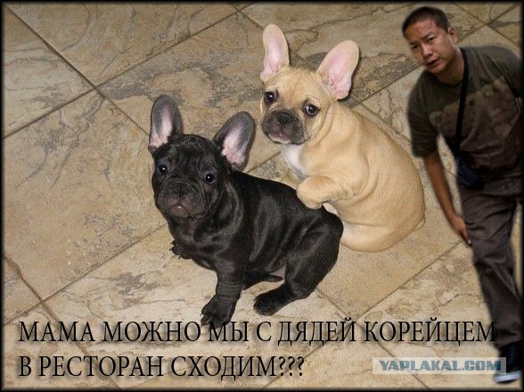 Битва фотожаберов (Команда №1)