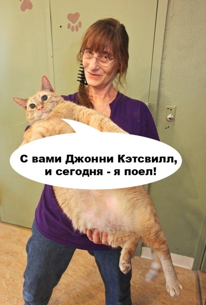 Приключения Джонни Кэтсвилла