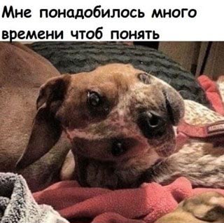 Юмор в картинках 04.09.20