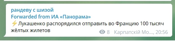 Лукашенко ответил на призыв Макрона об отставке: «Он должен был бы уйти еще два года назад»