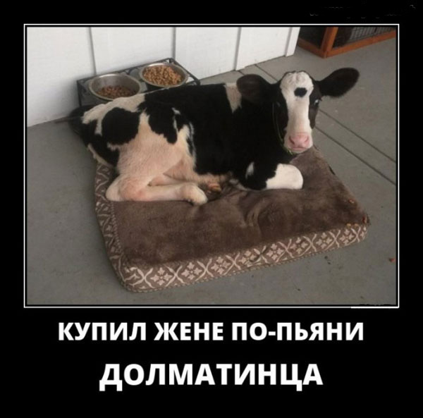 Роман Бабаян и баян