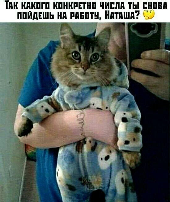Наташа, вставай!