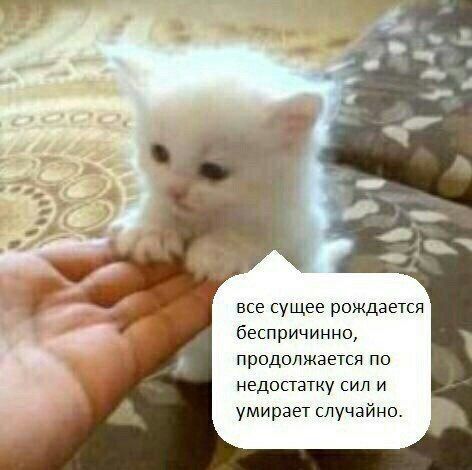 Бредзона 15.12.20