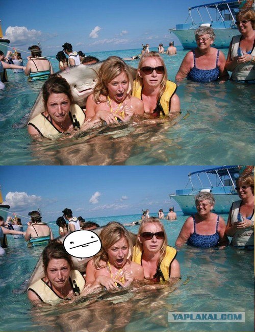 Изобразили