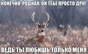 Что  радует мужчину по жизни? После 40