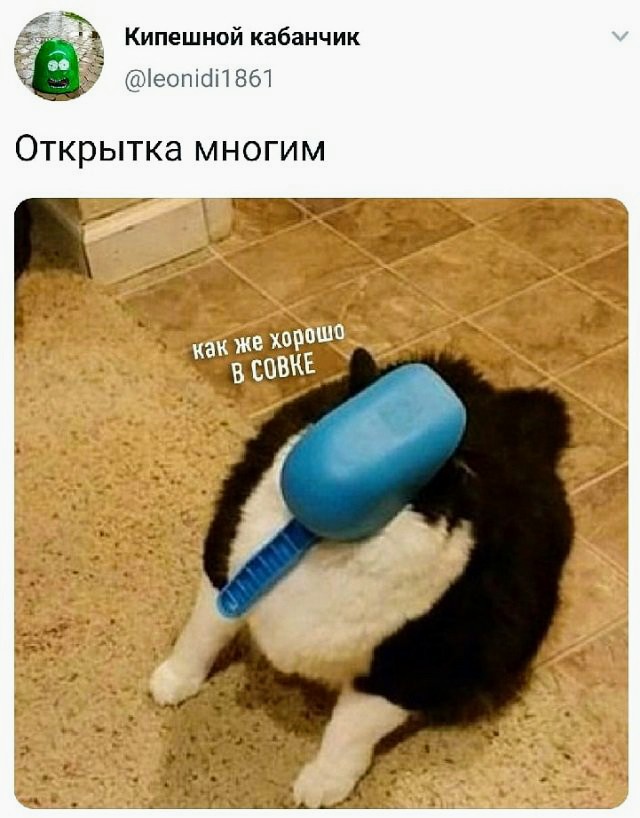 Картинки с надписями и всякие жизненные фразы 25.01.21