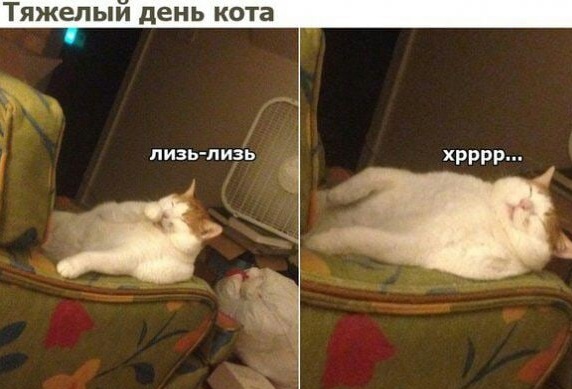 Картинки и мемы для настроения 016