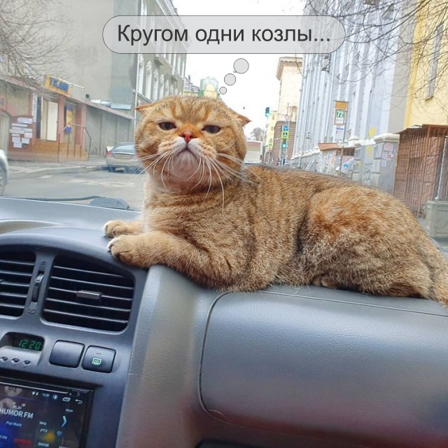 Лучший антистресс для езды по нашим дорогам. Ростов-на-Дону