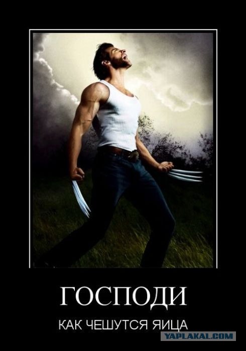 Вышел мишка на крыльцо...