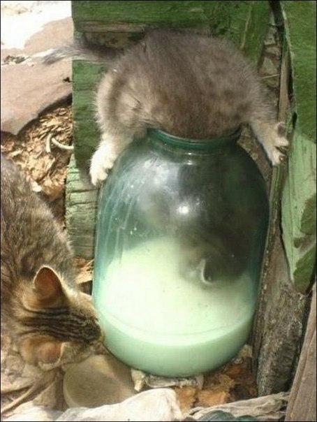 Самый желанный постоянный клиент