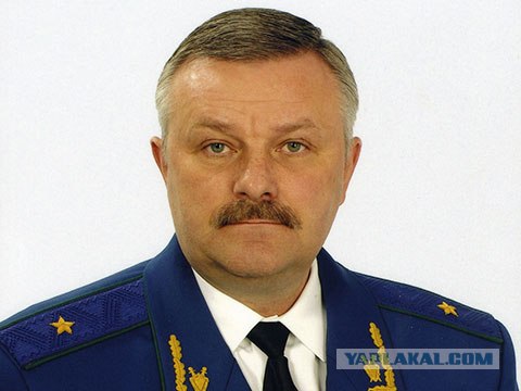 Депутат подумал, что сбил собаку, а не человека...