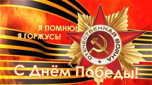 Жизнь домашнего приюта для котеек 341