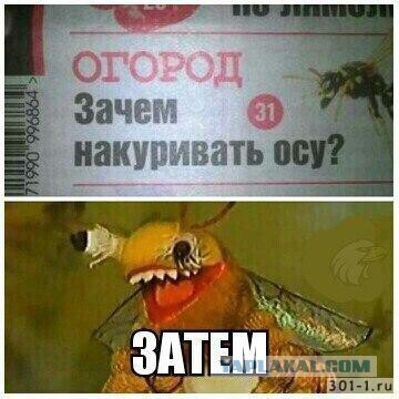 Упоротый Джа-дзен-пост