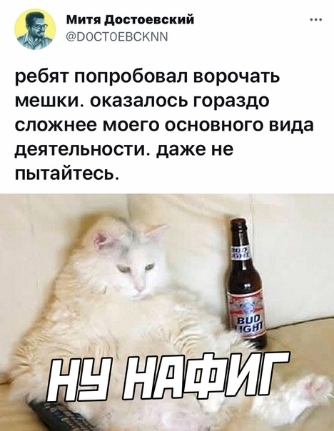 Картинки и мемы для настроения 31.03.2022