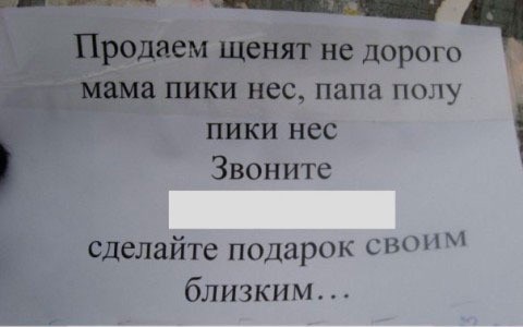 40 картинок разных 01.06.22