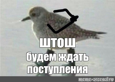 Развёлся чтобы жениться. Часть вторая «Ну нахер или я отсюда сваливаю!»