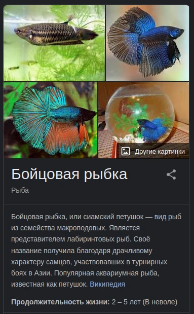 Вы кто такие? Я вас не звал! Идите на...
