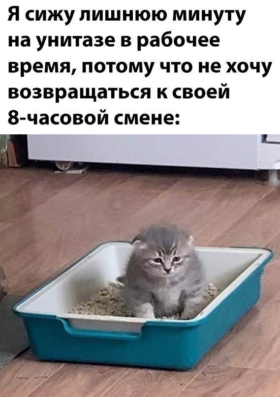 Немного картинок для настроения - 125