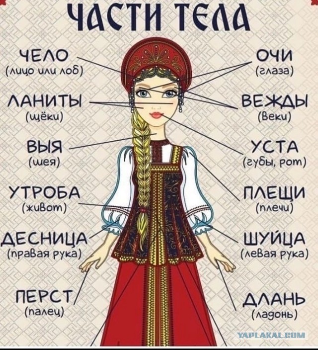 Факты. Просто факты.