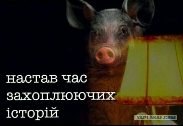 Жена Зеленского рассказала, что украинка сбила беспилотник банкой с помидорами