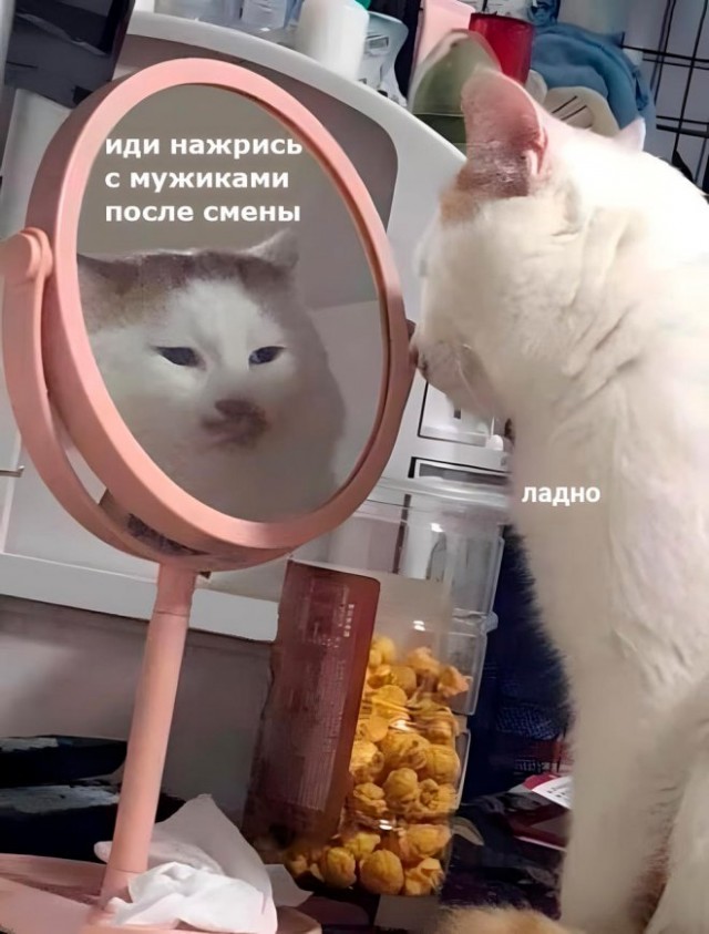 Картинки и мемы, всем хороших выходных