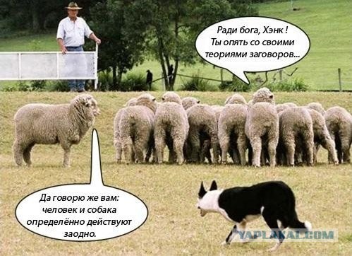Украина официально будет воевать до последнего украинца, несмотря на ужасные потери