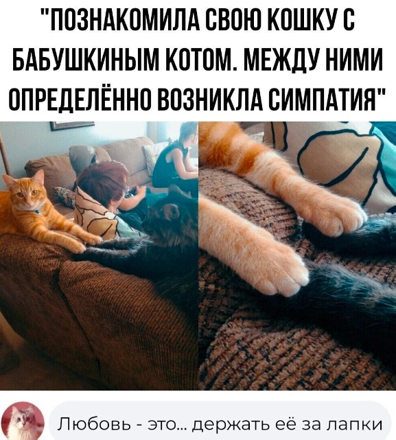 Нуштош 13.05.2023