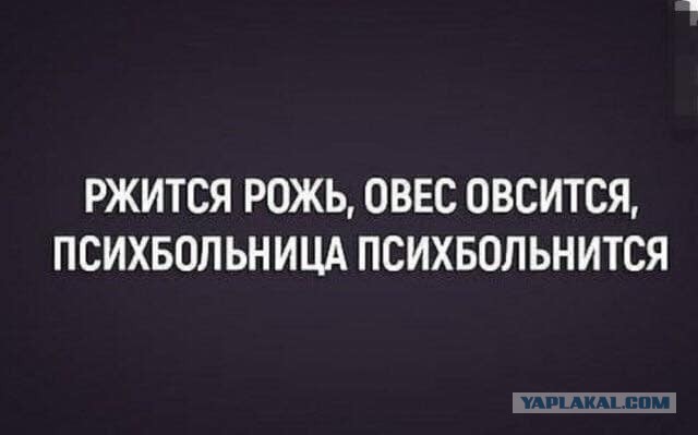 Баяны и аккордеоны. Смешные и не очень