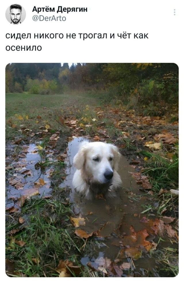 Так себе картинки 18.09.23