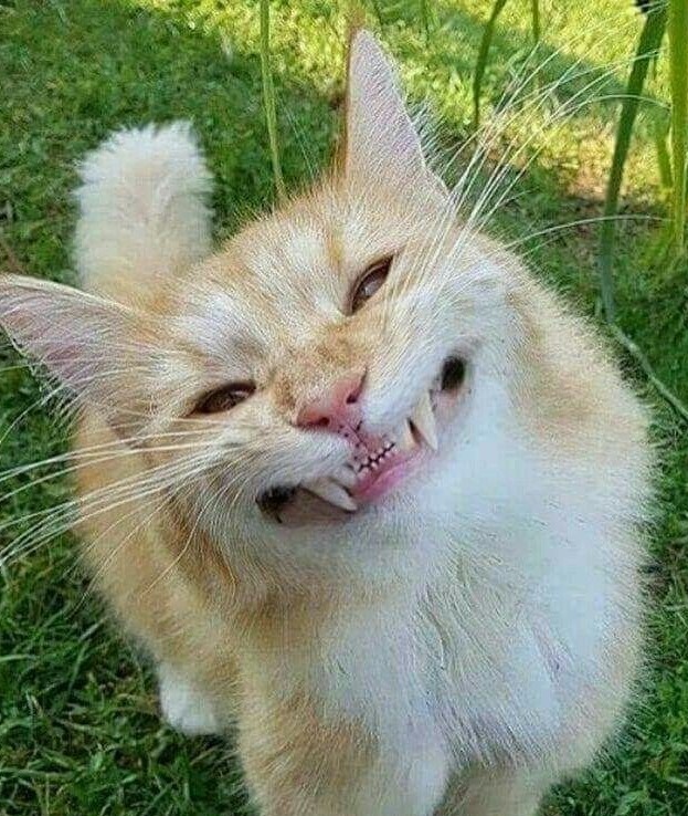 Центр мирозданья!