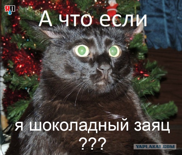 А что если?
