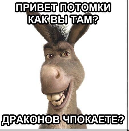 В Колпино подросток изнасиловал двух плюшевых драконов из магазина