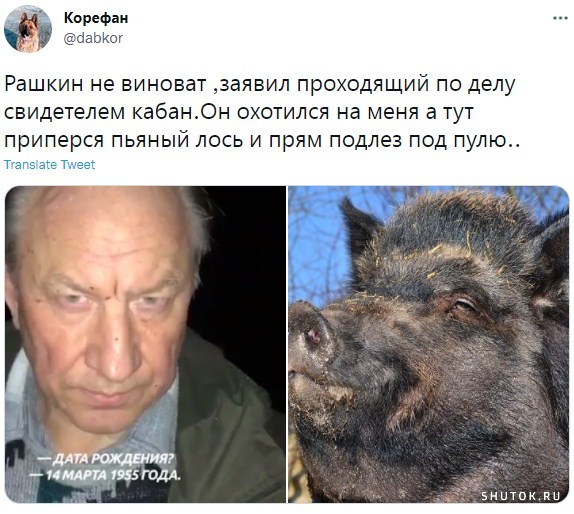 Житель Вязников случайно застрелил закладчика при охоте на лося