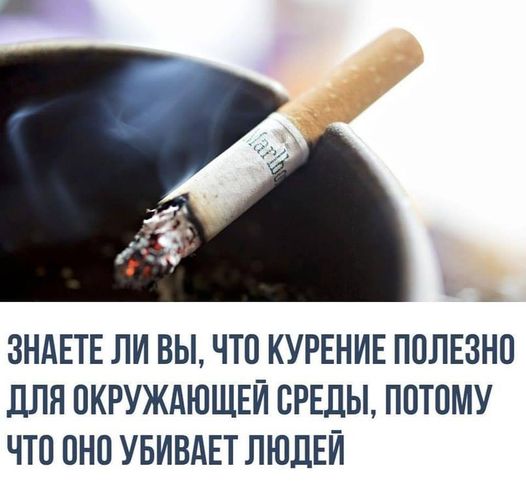 Весёлый полтшок 09.05.24