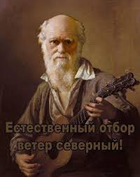 Пять человек разбились в ДТП, когда ехали с похорон друга, погибшего 4 дня назад в Красноярском крае