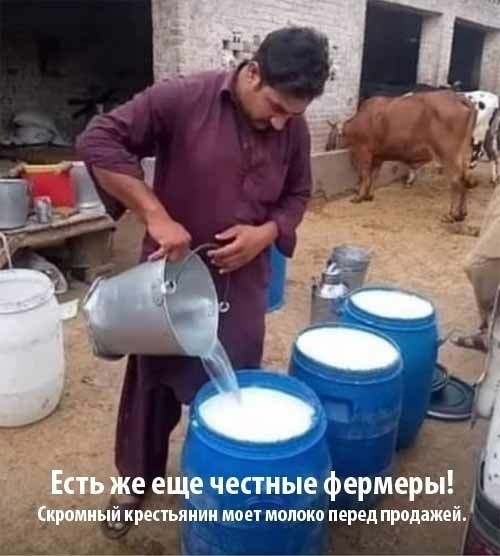 Один я не понимаю, откуда берется молоко, творог, сыр и масло?